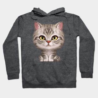 Silver Tabby Cat Hoodie